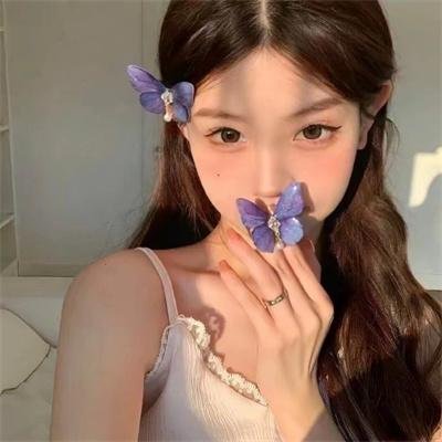 爱情公寓2